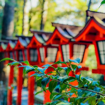思ってた以上に大きな神社にびっくり。。
木々に囲まれた厳かな境内🌲🌲

