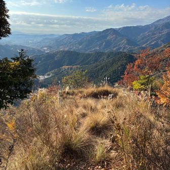 発句石は写真の真中辺りの小さい岩の様です。