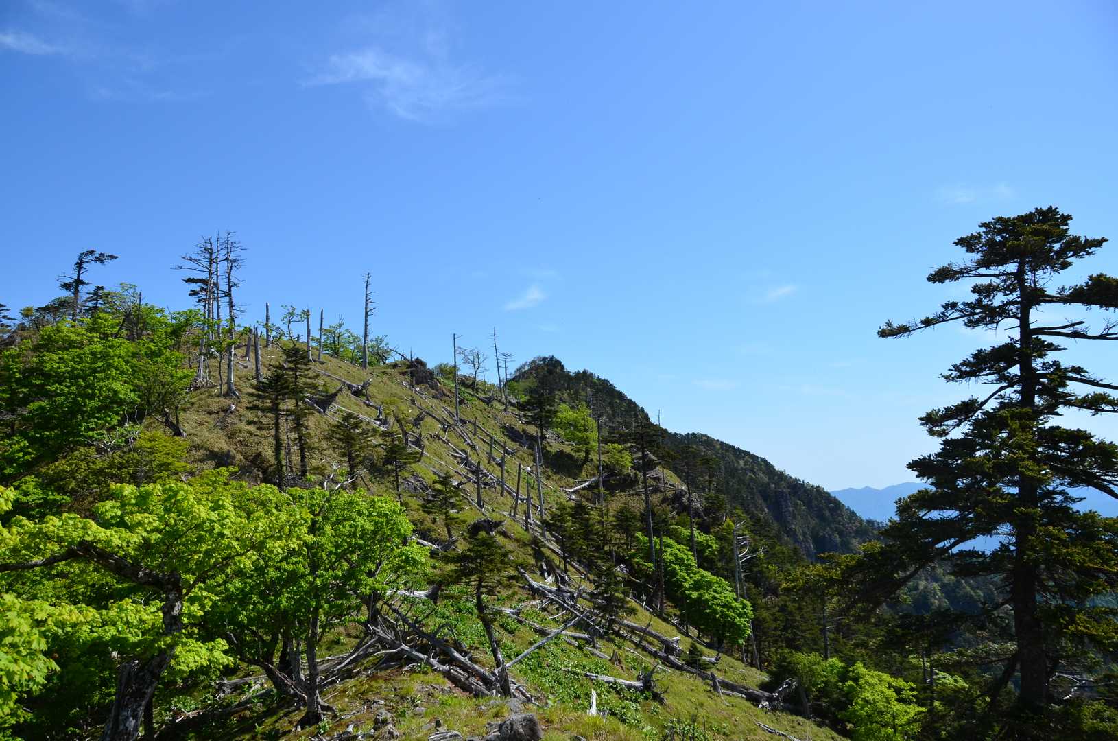 太尾登山口-古田ノ森-千丈平-釈迦ヶ岳-空鉢岳-椽ノ鼻-孔 往復コースの写真