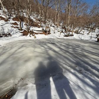 乗りたいね〜、でもやめといた🤣