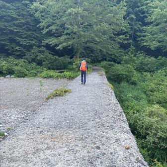 三人が三人共
「去年歩いたのに気付かんかったごめん」
「舗装路がやけに長いと思った」
「いやいや私も地図見てないから誰のせいでもない」

などと、一様に反省😑
途中の分岐のここから本来のルートへ
50分のロス、体力もやや削がれてるはず