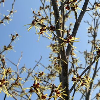 黒菱山から下山された団体様多数、
皆さん私より随分お姉さまのはずなのに
めちゃくちゃご健脚
余裕でキャッキャ喋ってる……

見習わねば！頑張らねば！
と、強く思った1日でした( •̀ᄇ• ́)ﻭ✧
