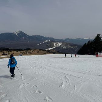 名残惜しい、、❄️