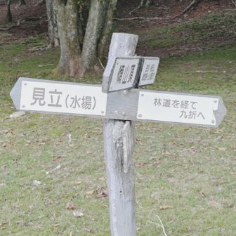 笠松山までは行けない🤣
下山します