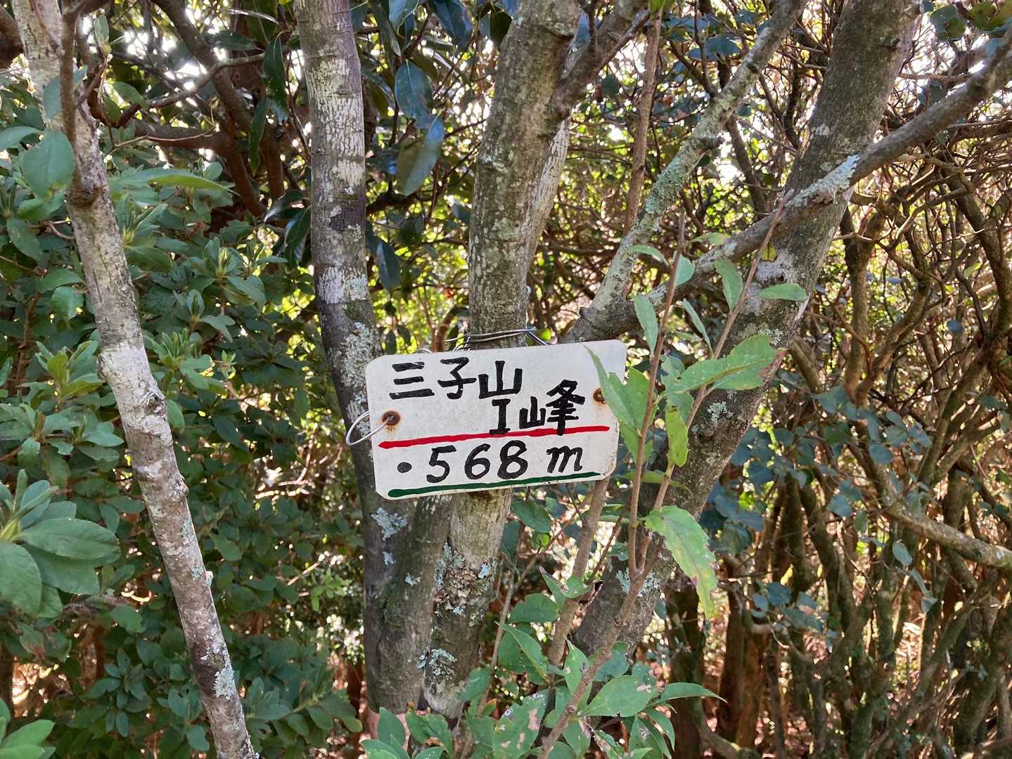 去年の夏はここまできた

ここからは初めての道