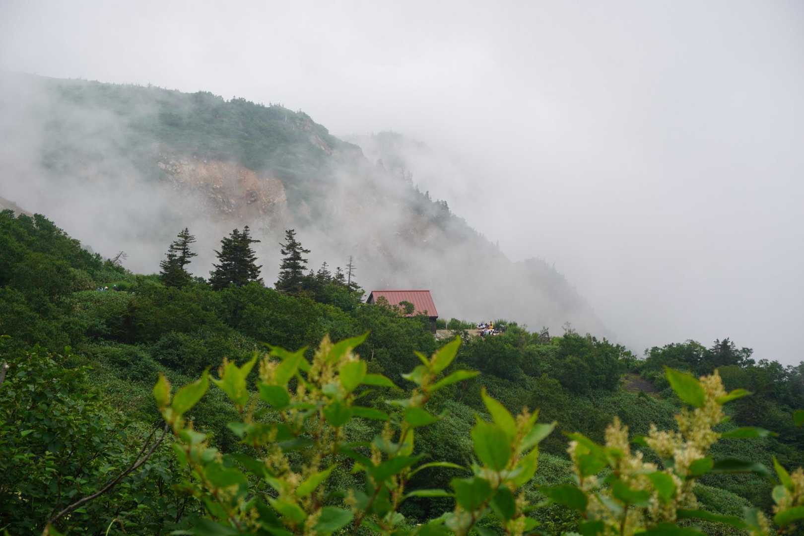 砂防新道コース | 夏には高山植物が咲き乱れる、信仰の歴史を宿す美しき霊山への写真