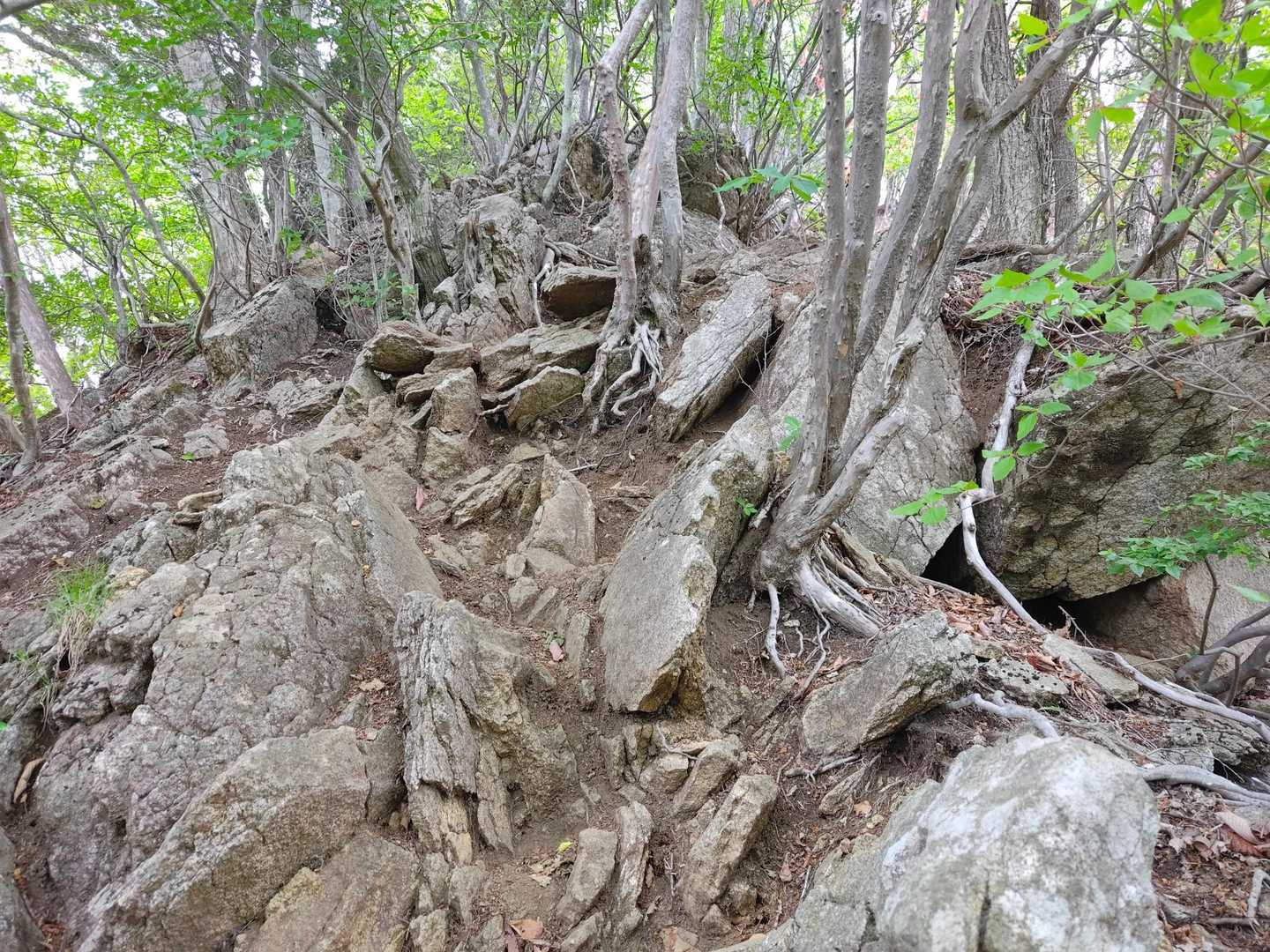 岩場の始まり…激登りの始まりです🪨🗻