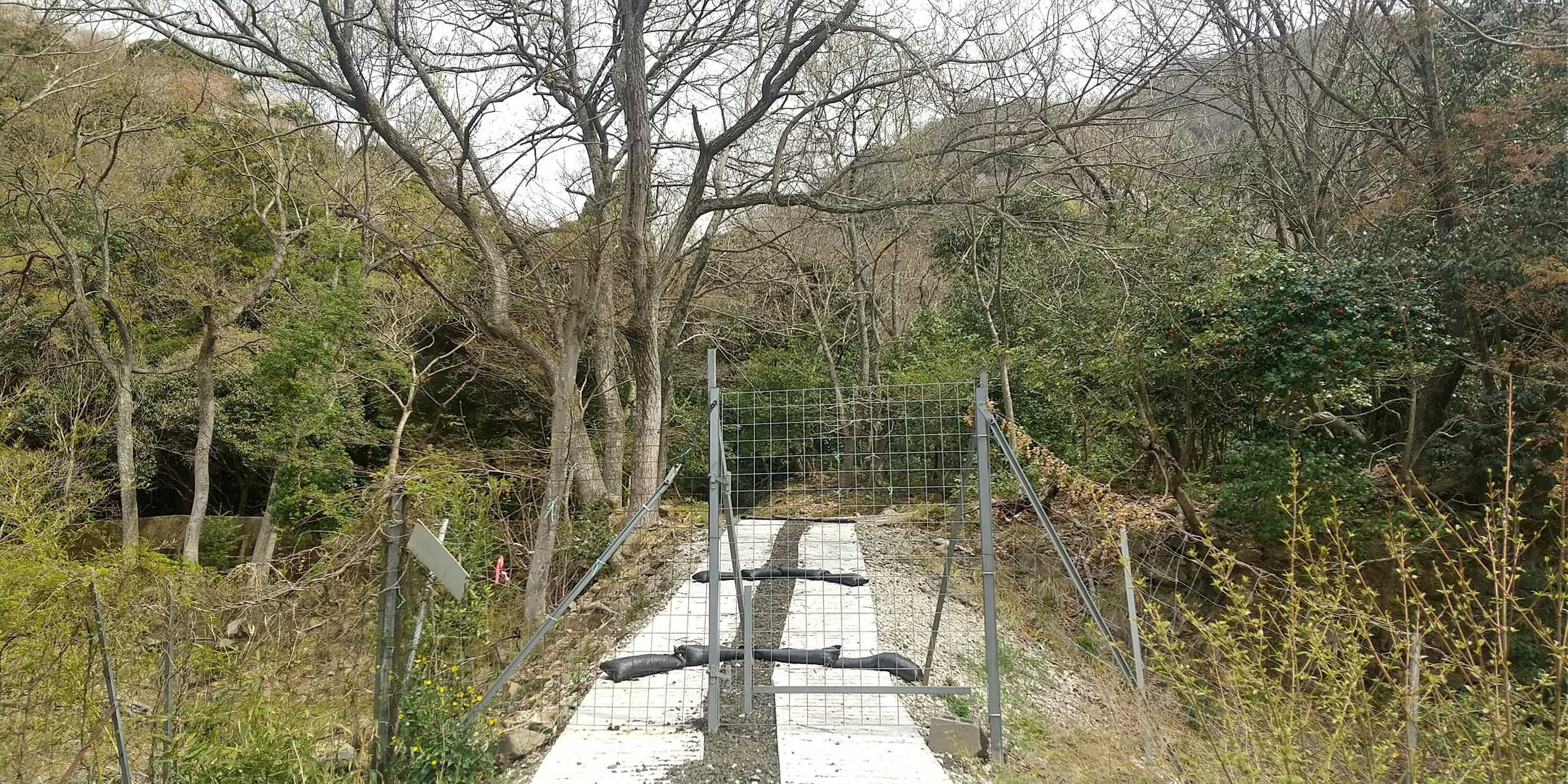 シカの世界におじゃまします❗️