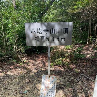 八塔寺山　山頂