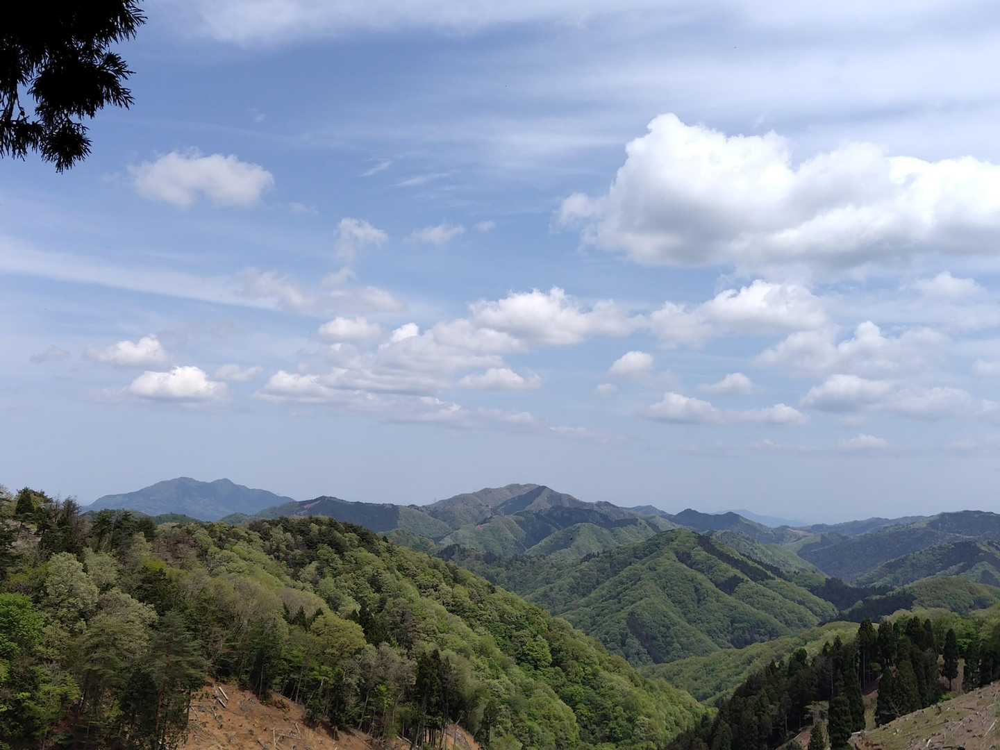 下りはじめの開けたところから青葉山を一望😍左奥です✨