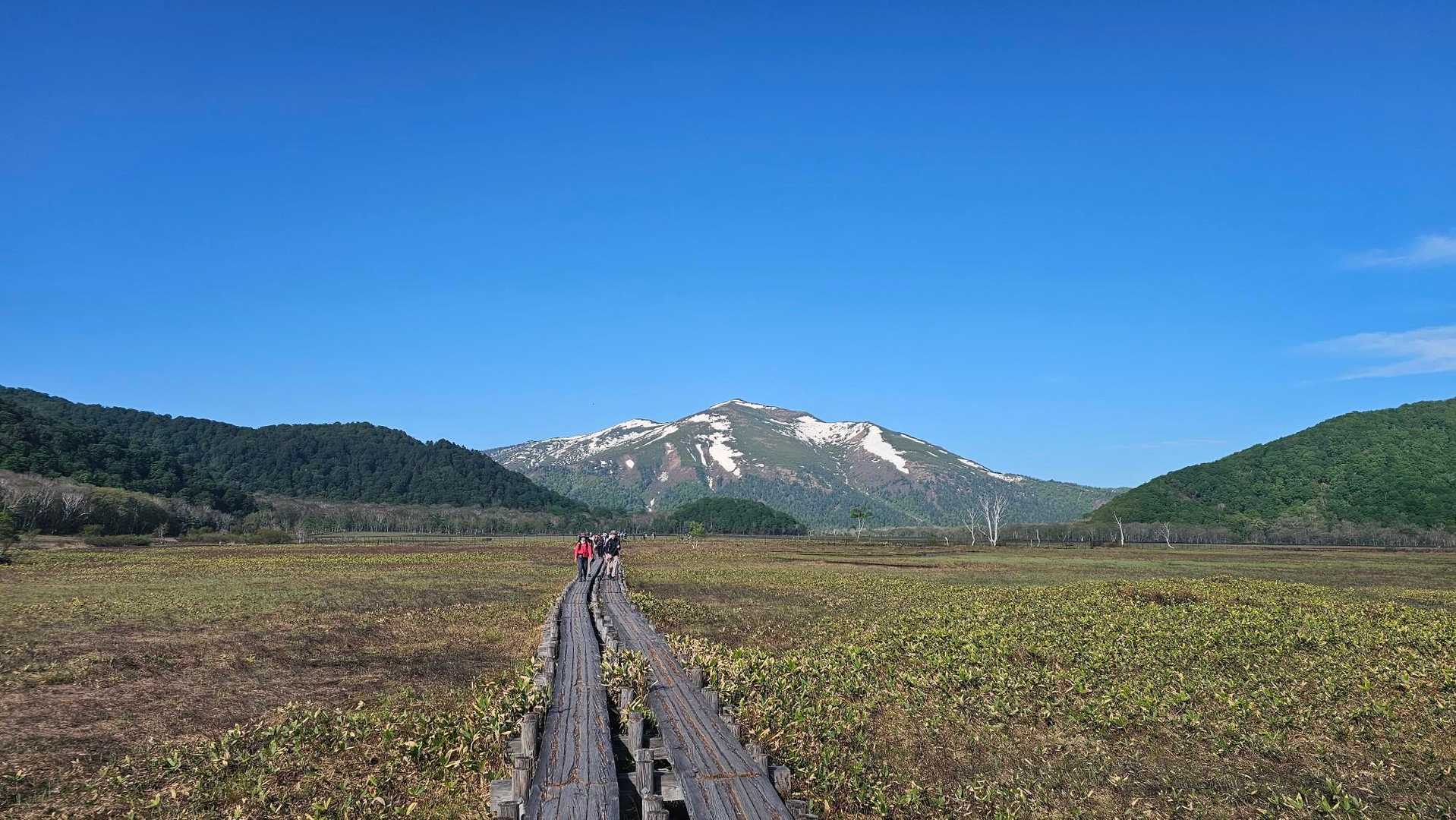 振り返ると至仏山が素敵すぎる。