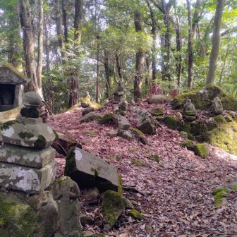 奥の院　静かに佇む石仏たち