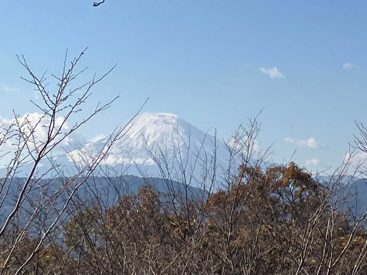 権現山から🗻
枝が邪魔するので…