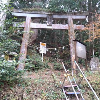 市房神社は人吉藩主相良氏の信仰が厚く、古来近在の人々による御岳参りで賑わっていたとのこと⛩️