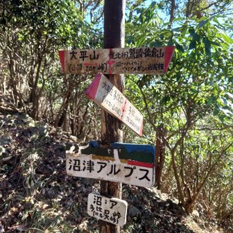 つぎを目指してどんどん行くよ〜