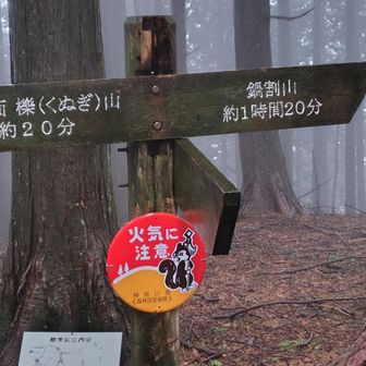 栗ノ木洞山頂。