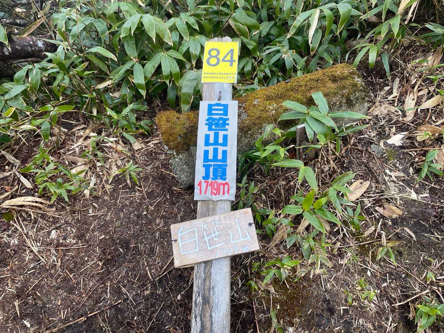 白笹山到着