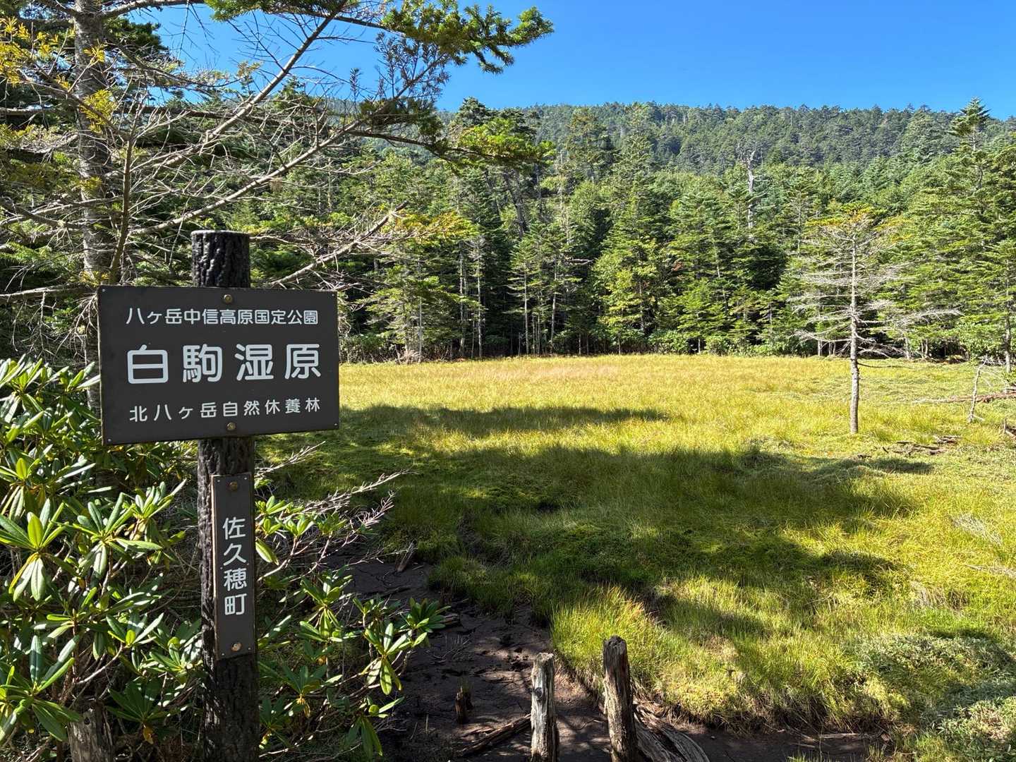 雨池峠-縞枯山-茶臼山-中小場-大石峠-麦草峠-白駒池-ニ 縦走コースの写真