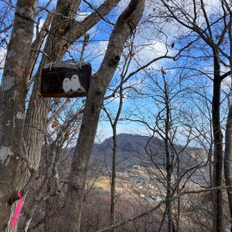 藻岩山もバッチリ👌皆んな大好き藻岩山だ。