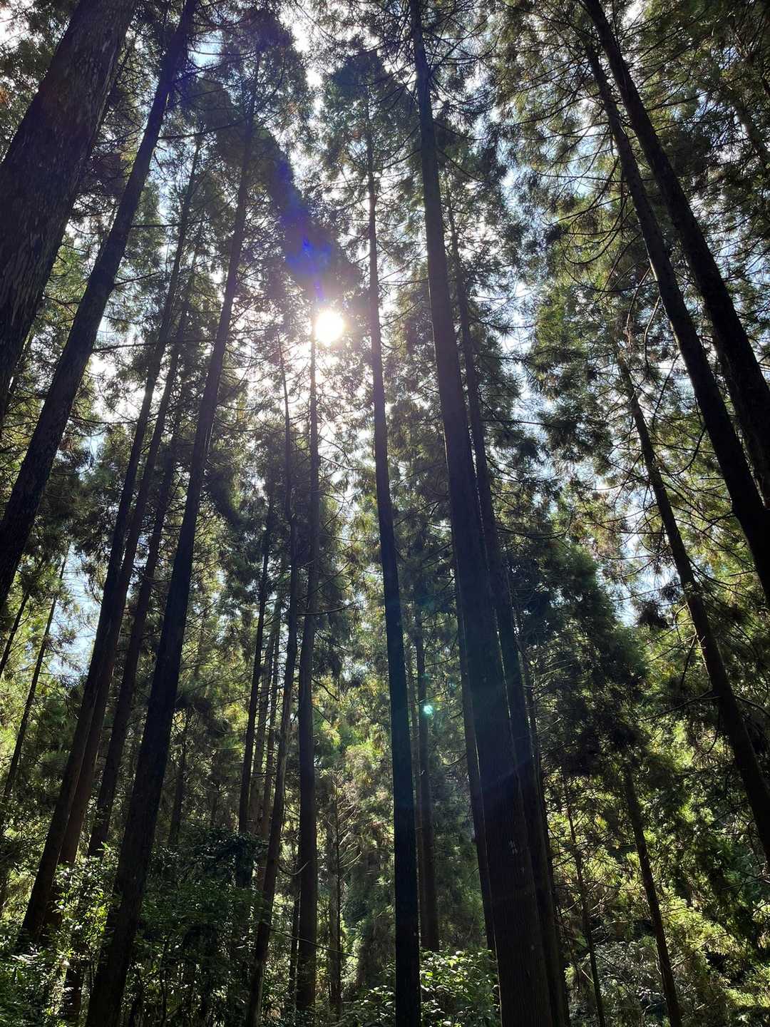 そう！こんな感じ…

でも忘れてたよ💦ヒートテックは暑い🥵
今日は、山予定じゃなかったから…
カットソー＆ジーンズ👖