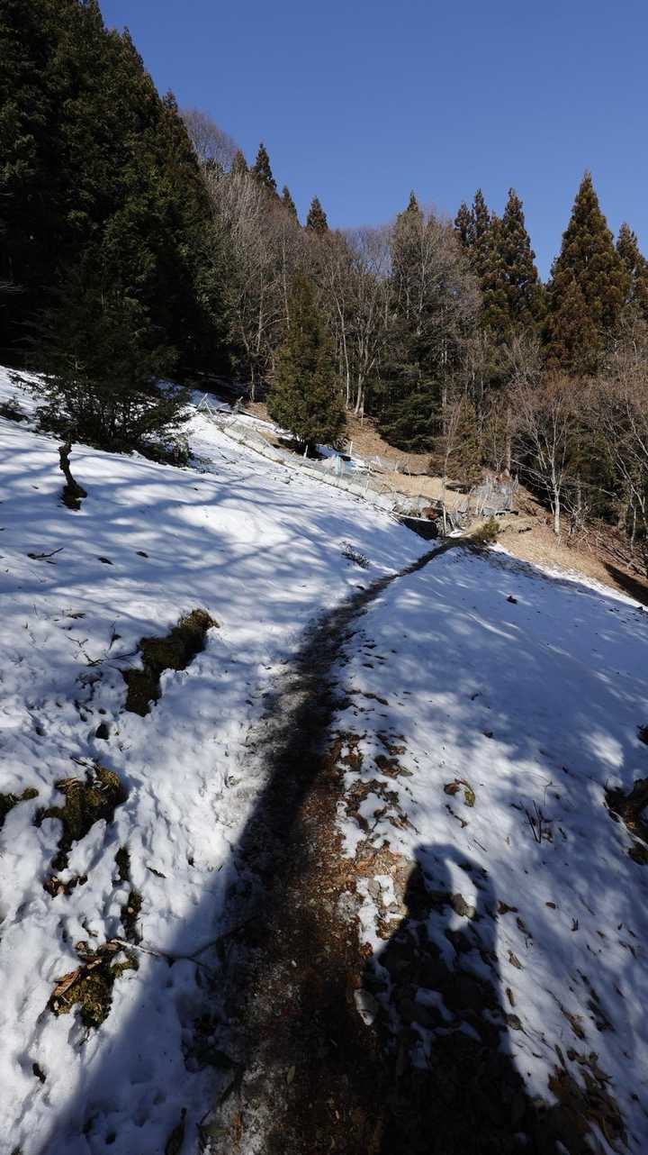 登山口から少し入ると、日陰には雪が残ってます