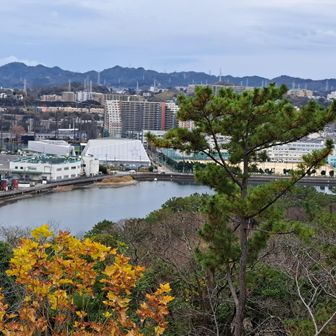 野島湾とベイスターズ二軍