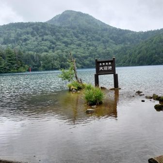登る予定だった裏志賀山が見えます