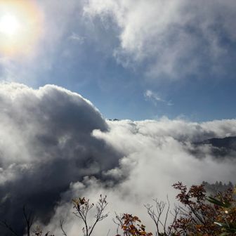 台倉山より

雲の中から
ひょっこり燧の山頂が

