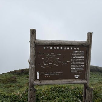 笹ヶ峰頂上