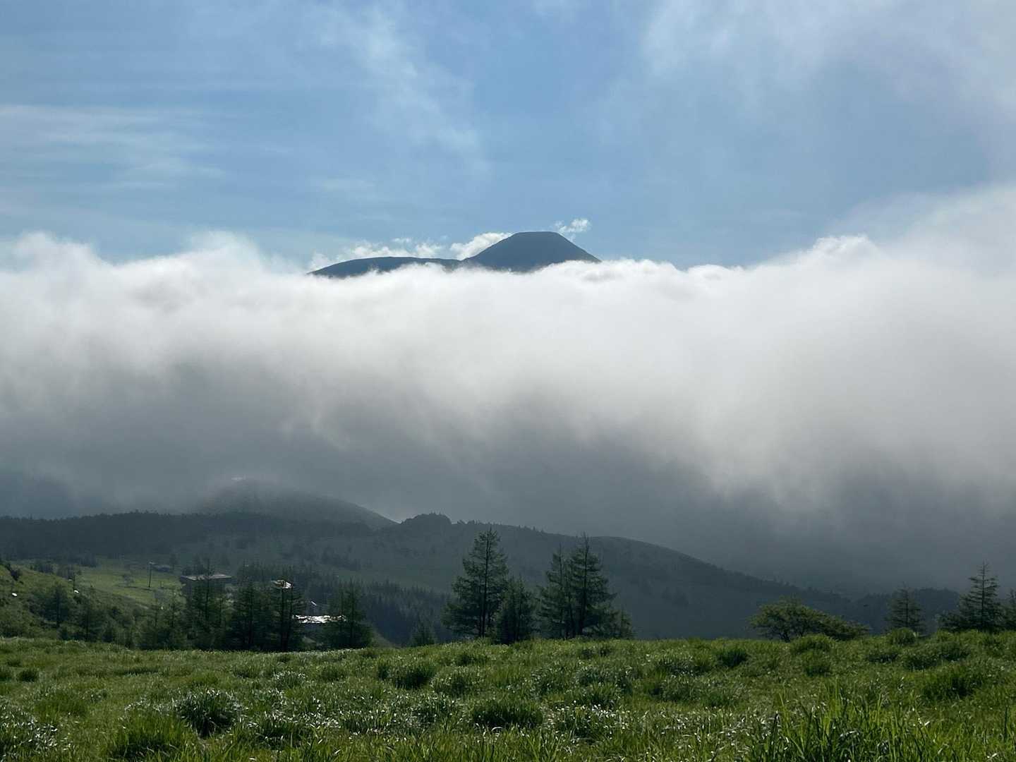 雲海に浮かぶ蓼科山🤩