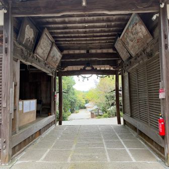 境内から出て、モグモグタイムに、、
