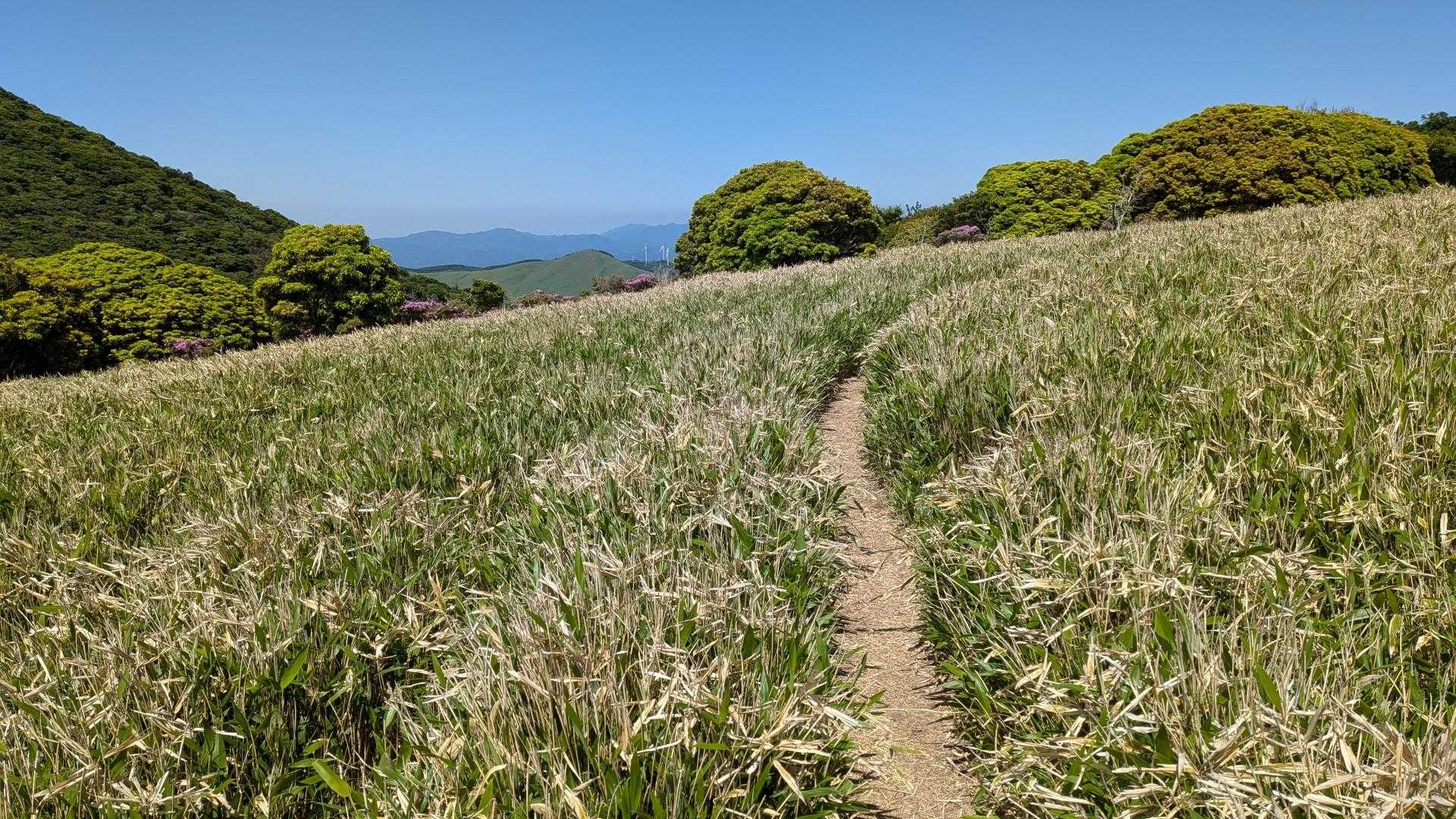 この時期は歩きやすい
