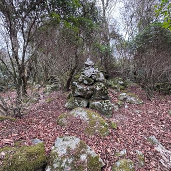 獅子ヶ岳西峰
看板は見つけられず