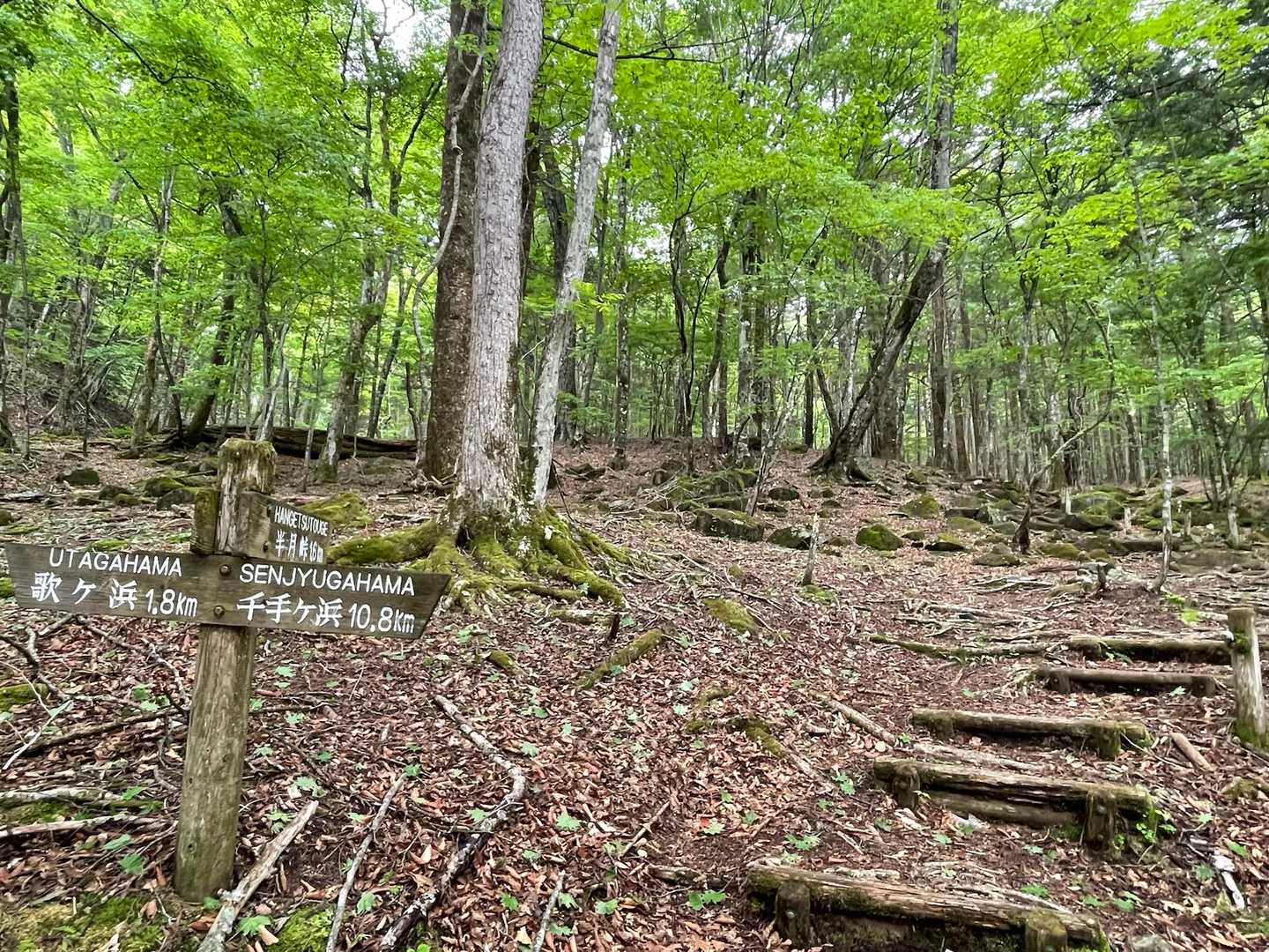 登山口