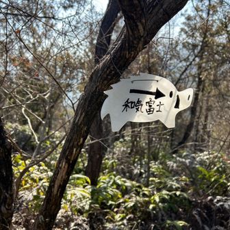 これまでの間のエビ山？もわからないまま通り過ぎてた😅