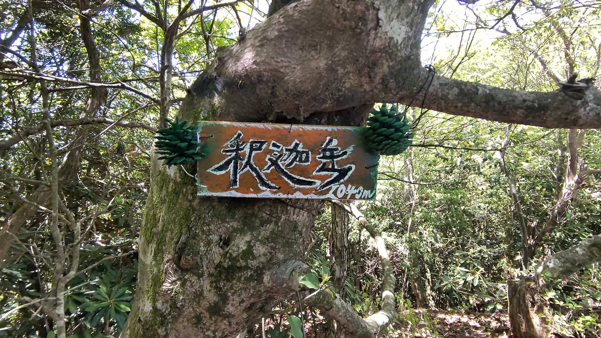釈迦岳　1040m