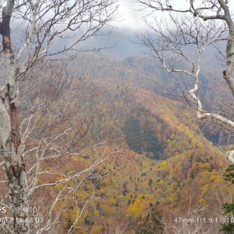 一応抜けたけど見た目とは写真が違う