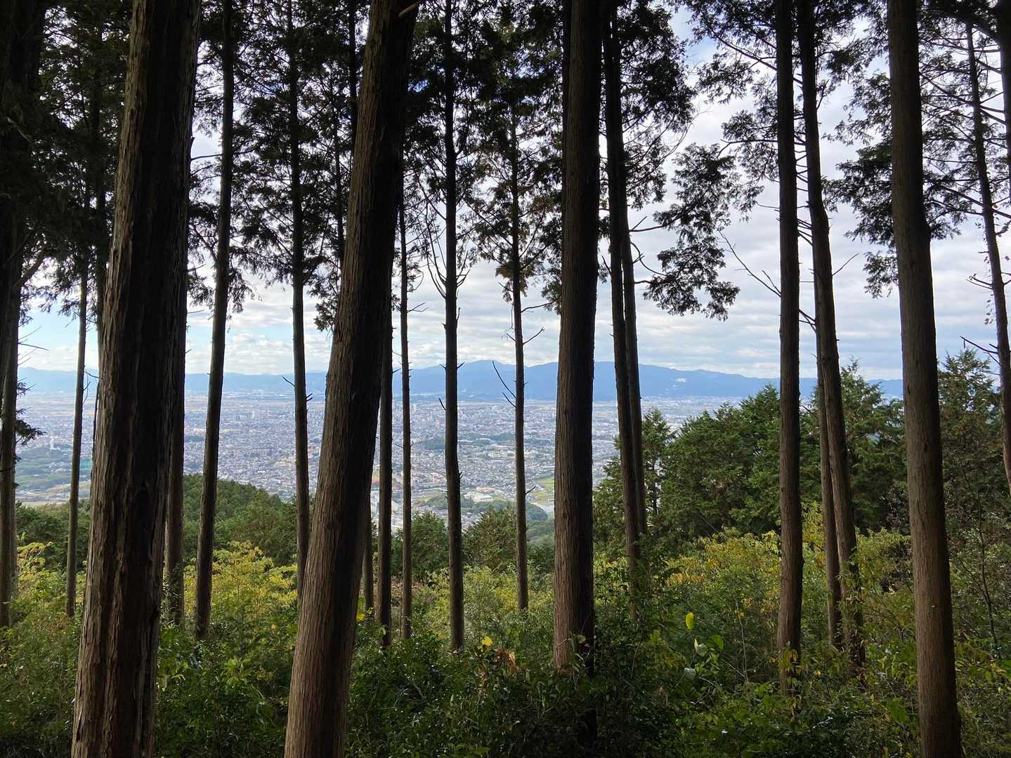 宝満山方面✨