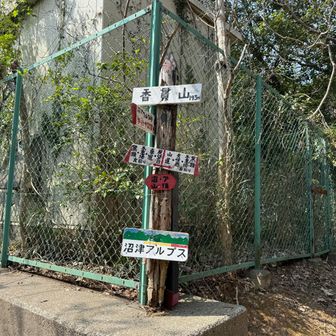 一応、山頂を踏みました