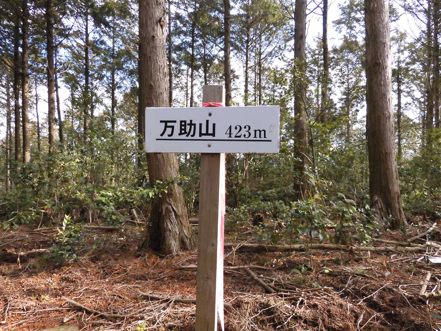 万助山（まんすけやま 423m）山頂 
※眺望なし