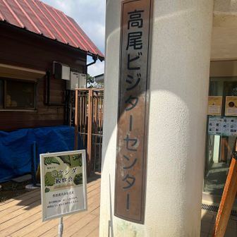 実は初めて入った。