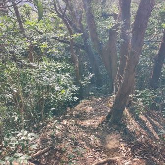 今日の攻略ルート⑤
観音塚〜一色住宅ルート