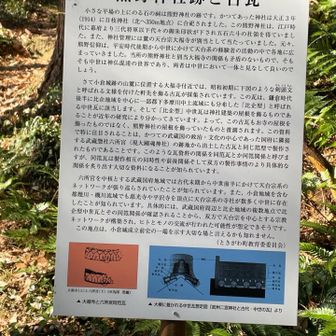 歴史好き😊にはたまりませんが、私には価値が分かりません