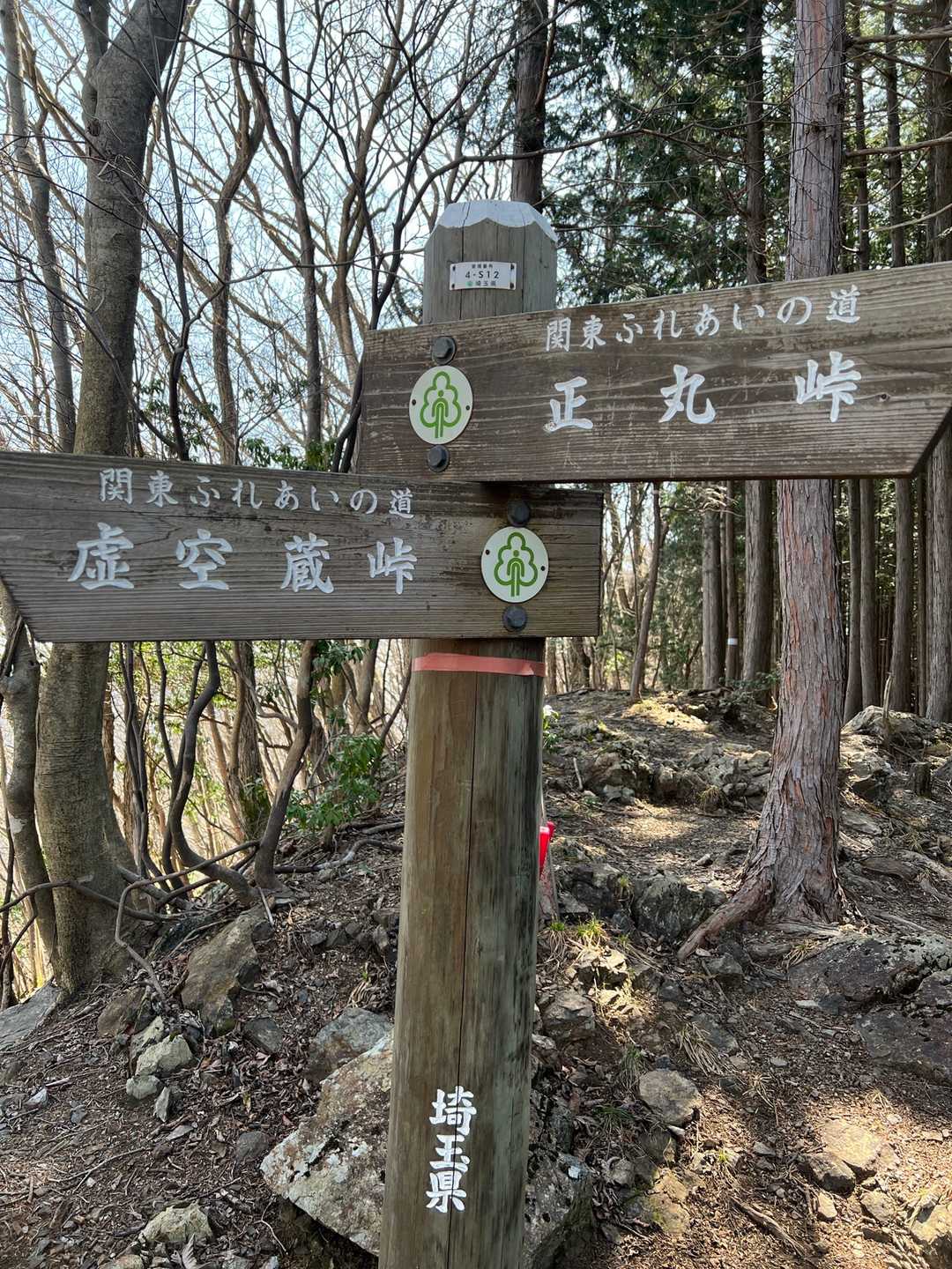 正丸駅-ツツジ山-刈場坂峠-二子山-虚空蔵峠-旧正丸峠 周回コースの写真