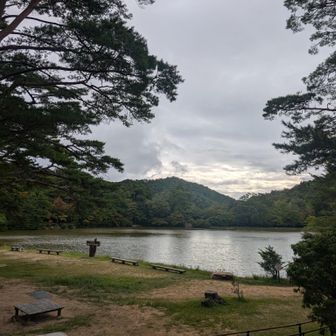再度山公園の修法ケ原池
どょ〜~ん…と〜曇空☁(・・)