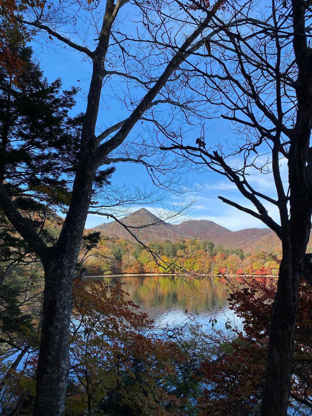 阿世潟峠-社山-黒檜岳-黒槍岳登山口 縦走コースの写真