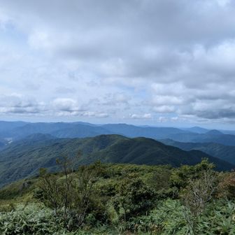 よく写真で見てた木製のお立ち台が無くなってました💧