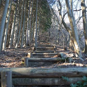 ここが辛いところ