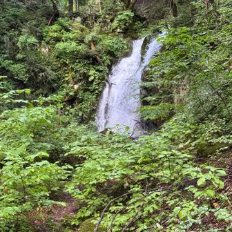中の滝。折からの雨のせいで水量多め。