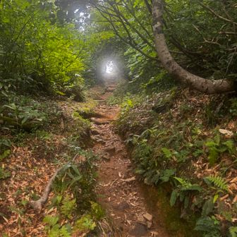 下山も暑い🥵　道行山の登り返し　あそこで終わり？